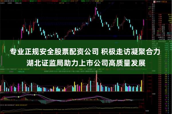 专业正规安全股票配资公司 积极走访凝聚合力 湖北证监局助力上市公司高质量发展
