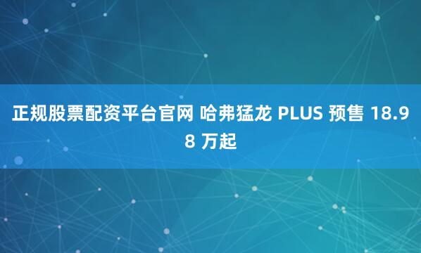 正规股票配资平台官网 哈弗猛龙 PLUS 预售 18.98 万起